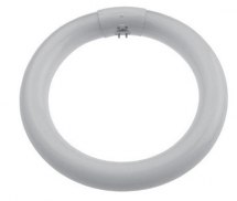 Świetlówka pierścieniowa do lup Slim Line, 22W. Świetlówka pierścieniowa do lup Slim Line, 22W.